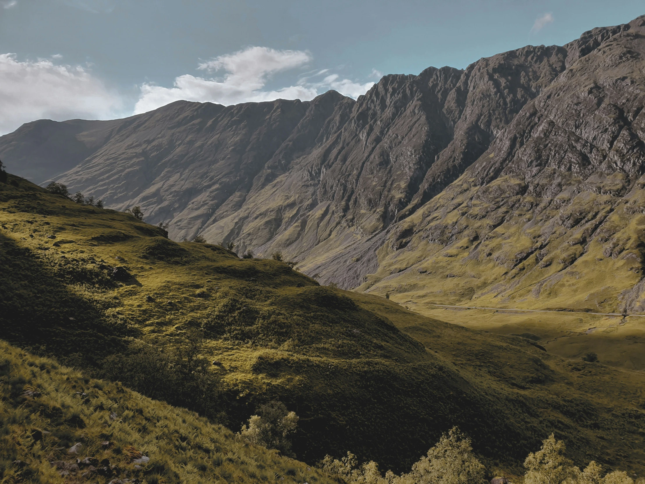 the mountain side shows the range of tall steeps and grass