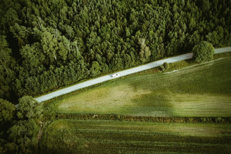 an aerial view of a road in the woods