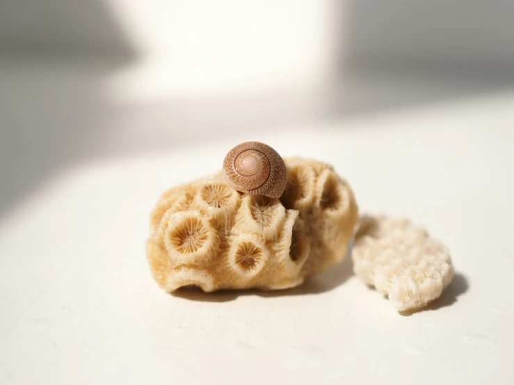 an edible piece of food sitting next to the ocean