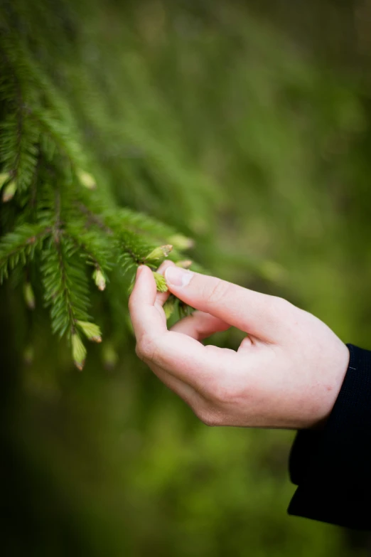 a person holding a plant with a green stem