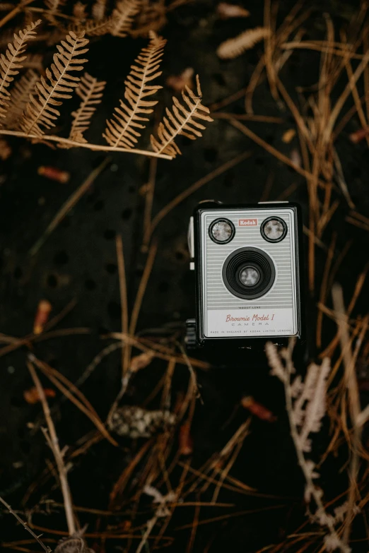 a digital camera in some grass and plants