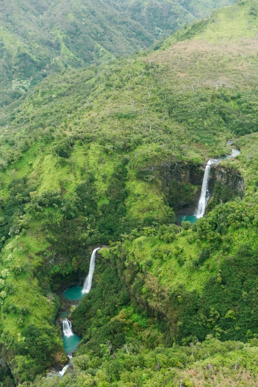 a very big pretty forest with a long waterfall