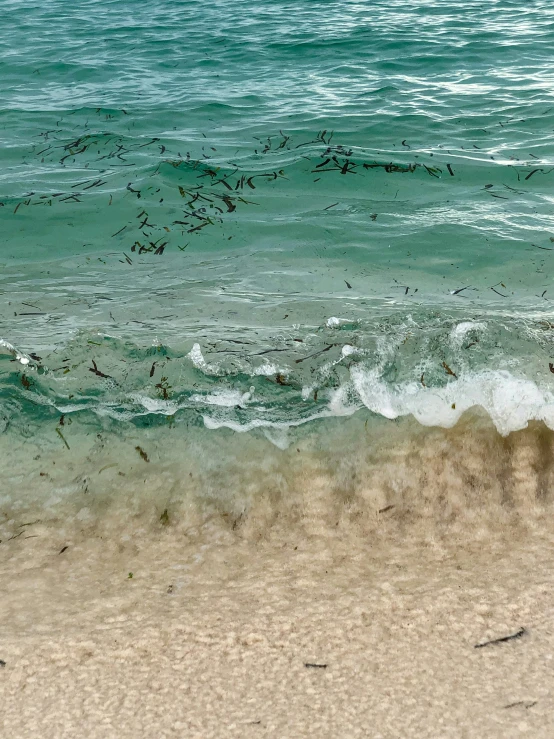 waves come ashore at the shore of a beach