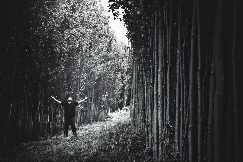 a person is standing in a forest and raising their arms