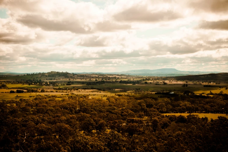 a field with trees and a lot of clouds