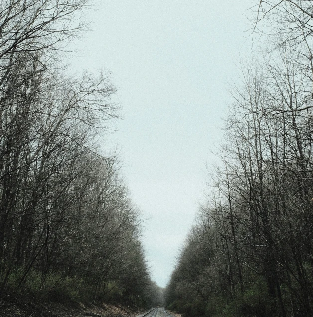 this is an empty road surrounded by trees