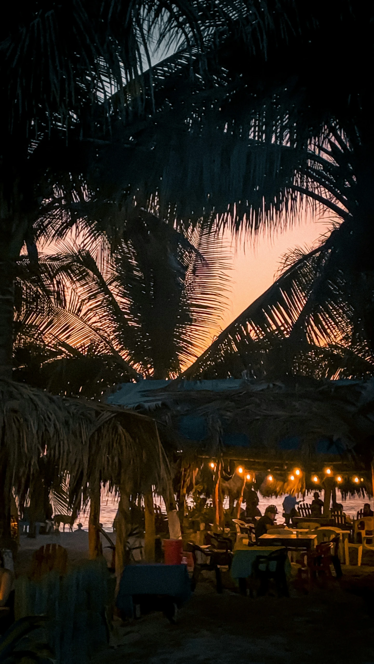 a small group of people sitting under palm trees