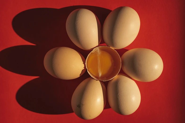 several eggs sit in a circle on a red background