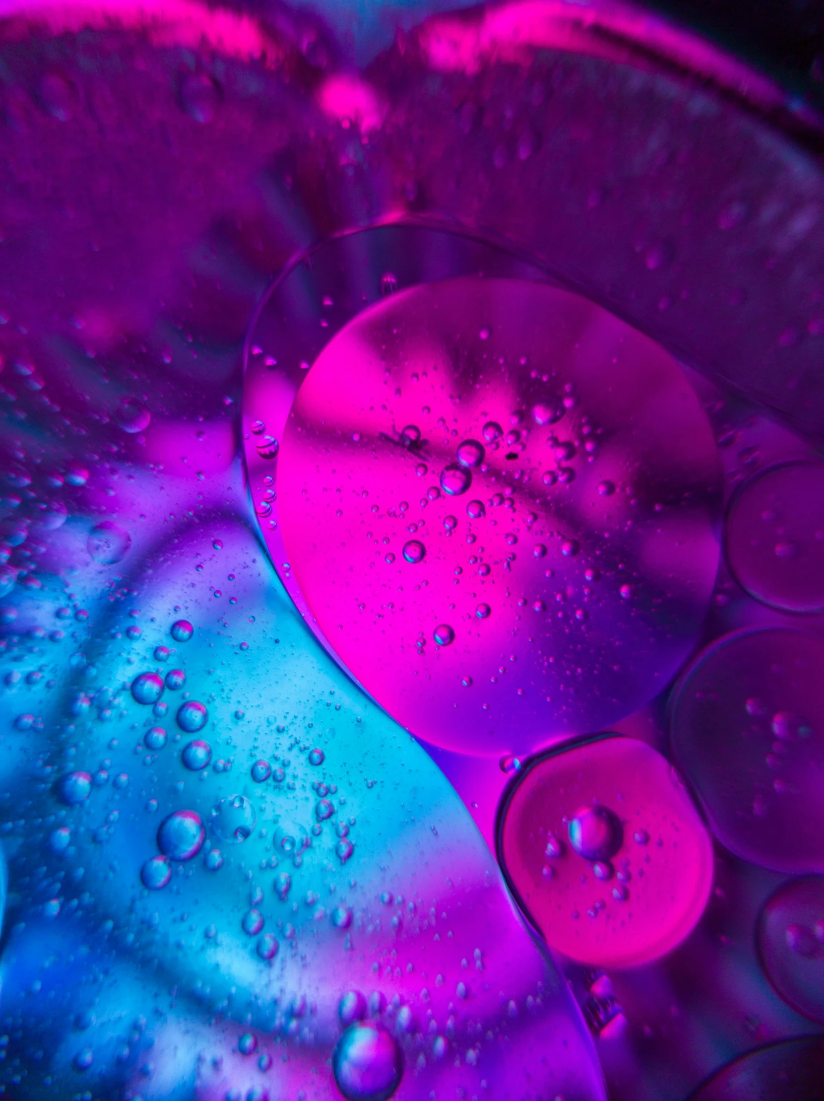 a pograph of colorful water droplets in pink and blue