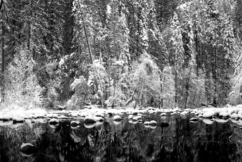 a black and white po of water in front of trees