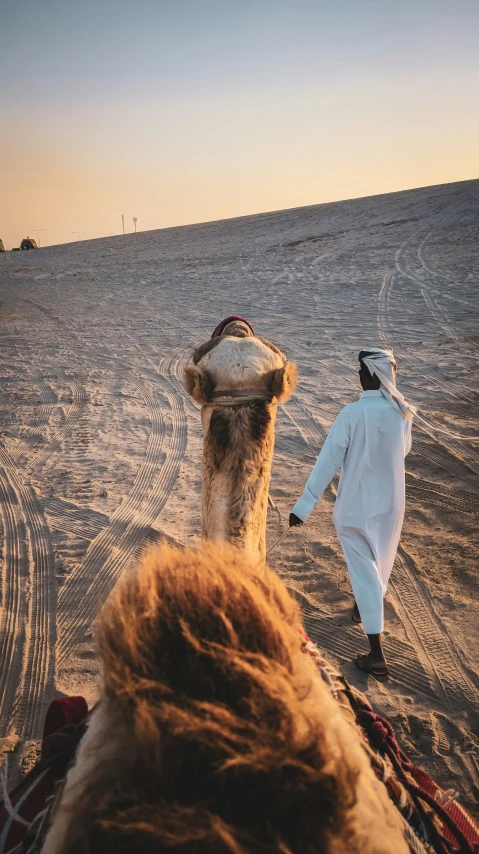 a person that is walking with a horse