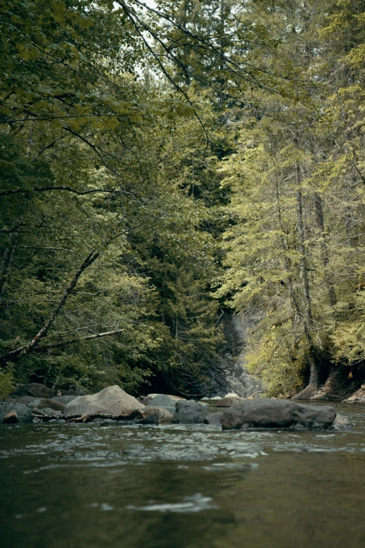 a man that is sitting on a log in the water