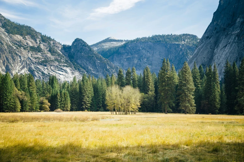 three trees on a field with mountains in the background