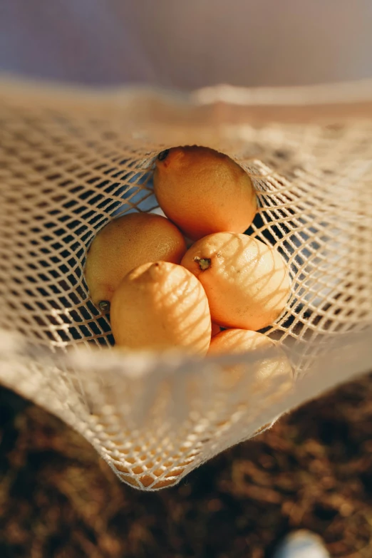 a burlick bag containing a bundle of yellow fruit