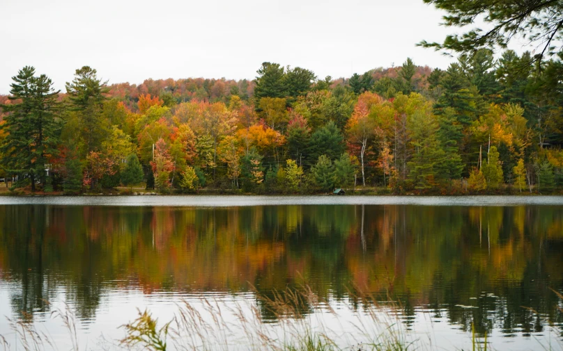 the view from across the lake of some colorful trees