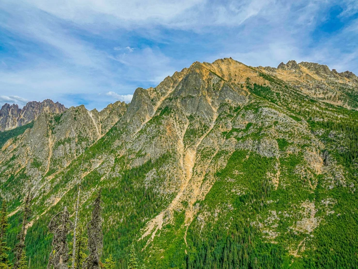 a large mountain range with trees in front