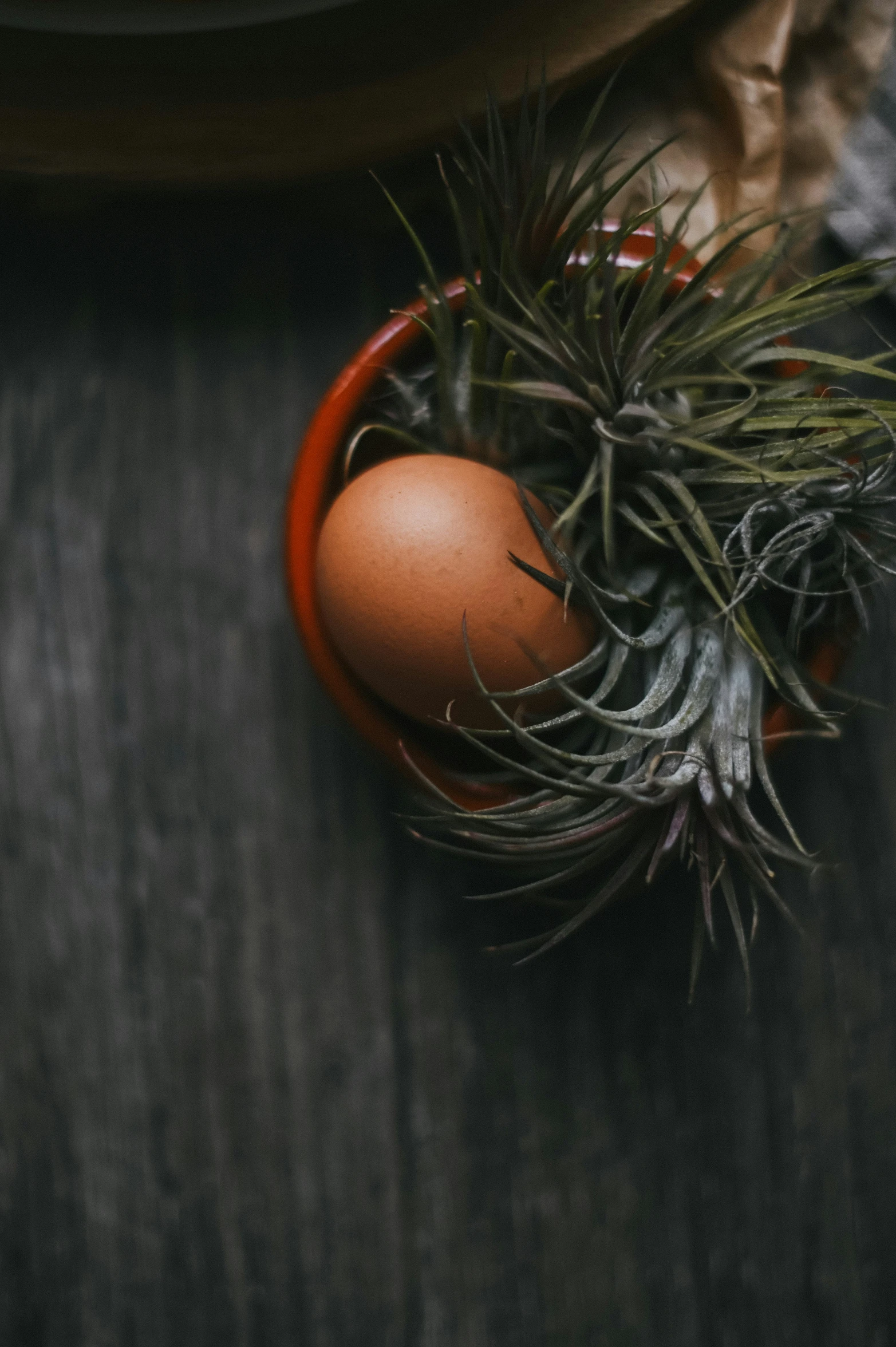 an egg is seen placed in an egg vase