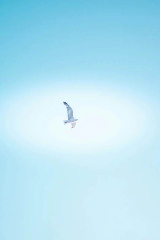 an airplane flying high above the sky in the daytime