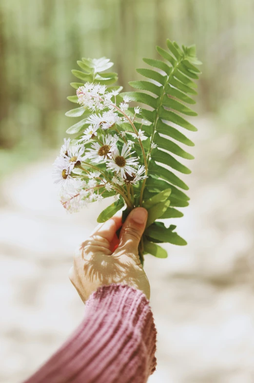 a person holding a flower in their left hand