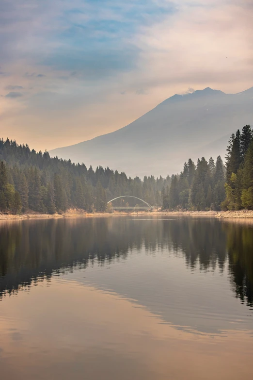 an almost empty lake with some trees on the shore