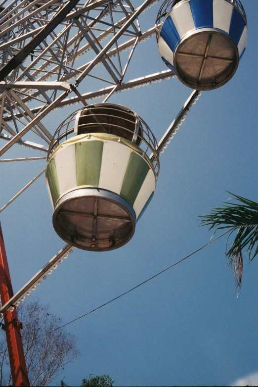 two colorful striped seats are suspended above a tree