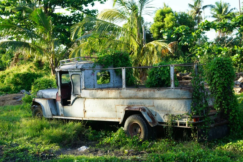 an old truck is covered in vines and overgrown vegetation