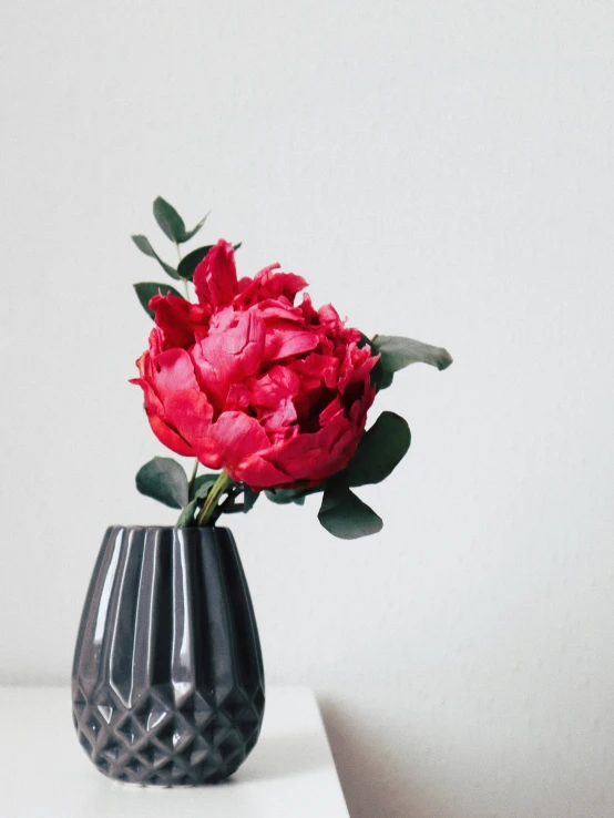 a close up of a vase with a flower inside