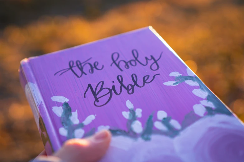 the little purple bible is displayed in a book