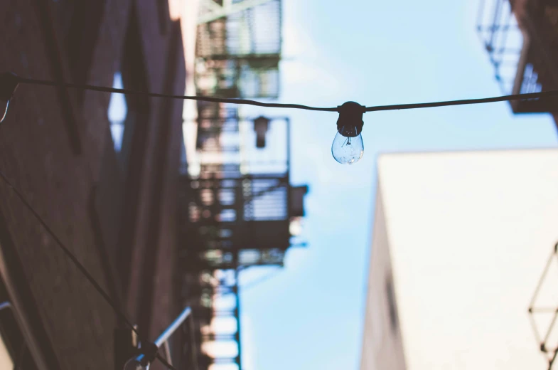 a bird is perched on a power line with a lamp bulb on it