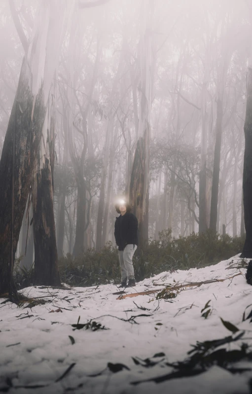 two people walking through the woods on a foggy day