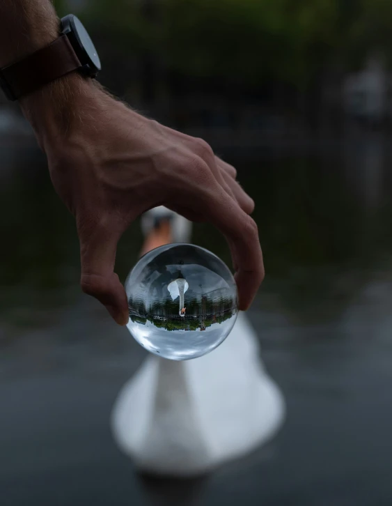 a hand holding a crystal ball in it