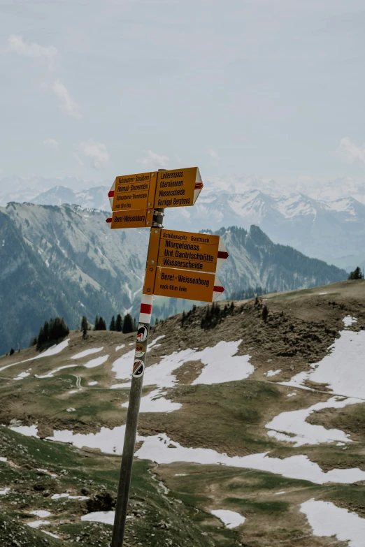 a mountain with two yellow and white signs on it