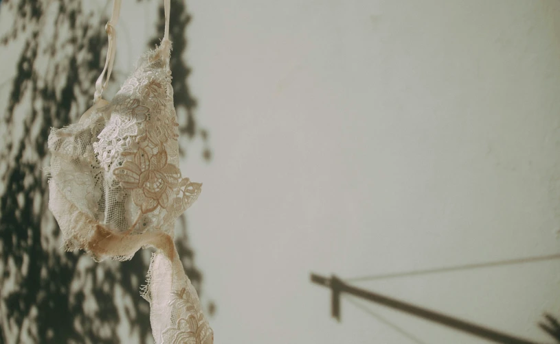 an old - fashioned piece of lingerie hangs next to a tree