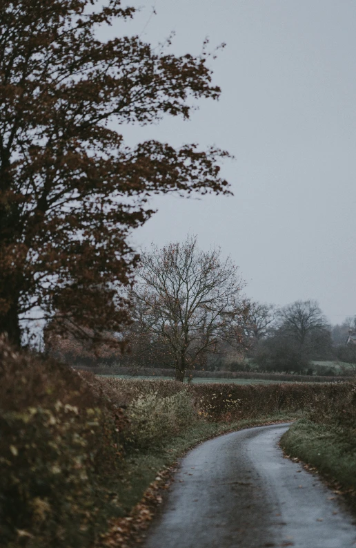 a pathway that is near the water in the rain