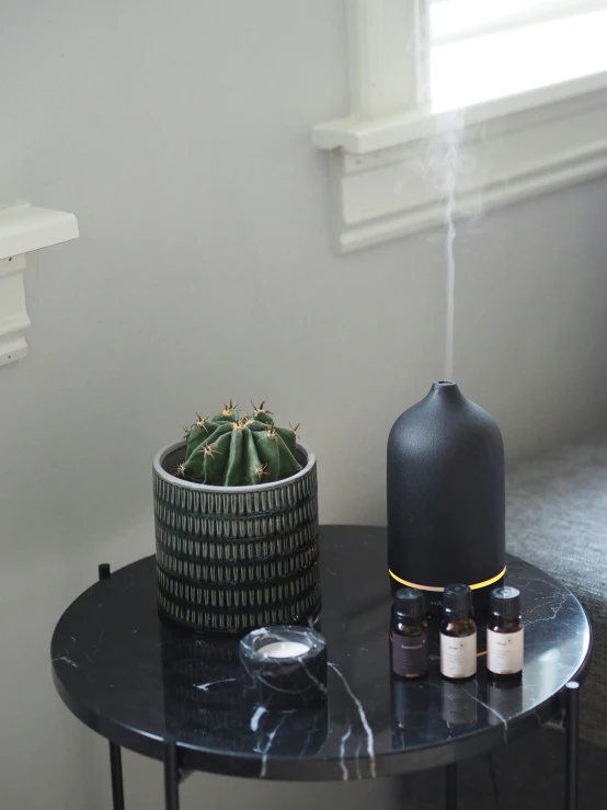 a black round table with a potted cactus on it next to some bottles and other things