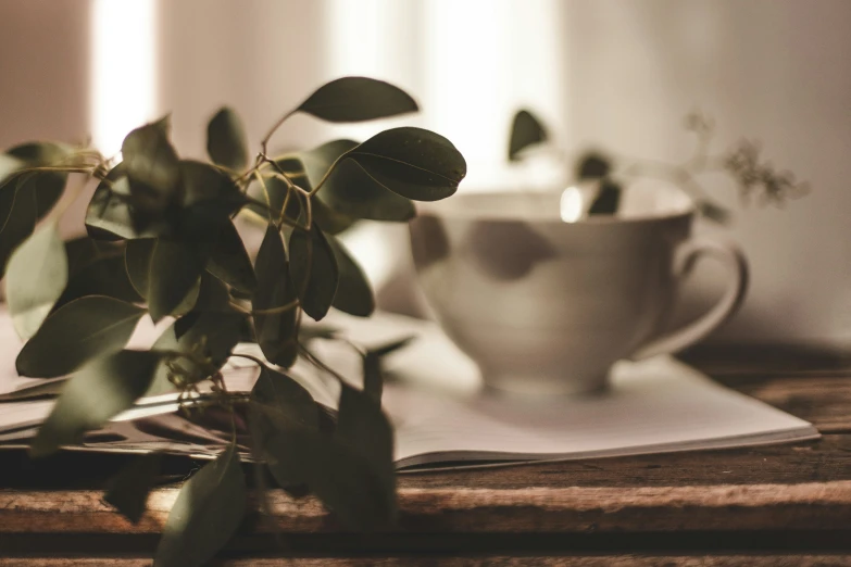 a cup and some tea leaves on a wooden table