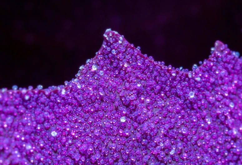 purple glittered objects are all stacked up together