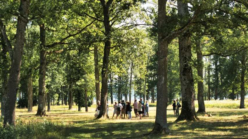 a bunch of people walking in the woods by water