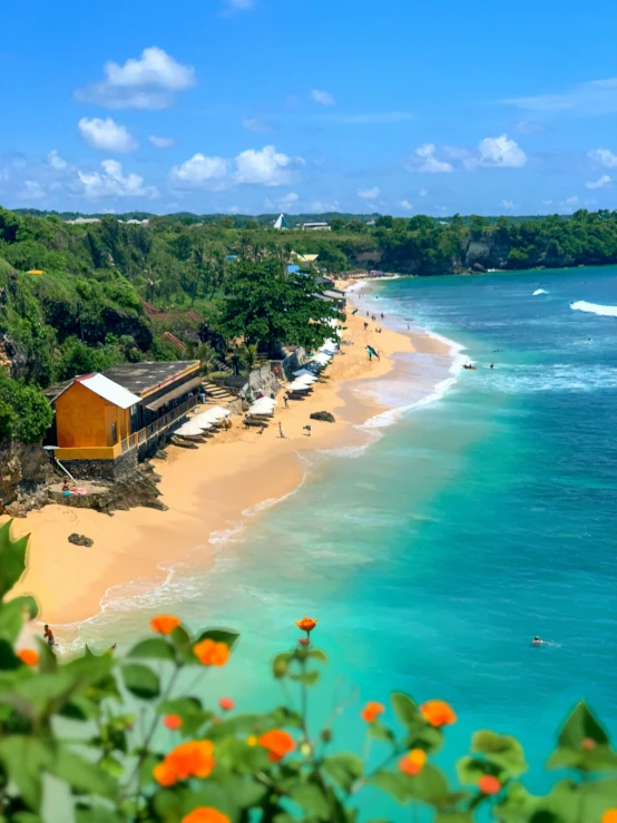 a beach area with blue water and green trees