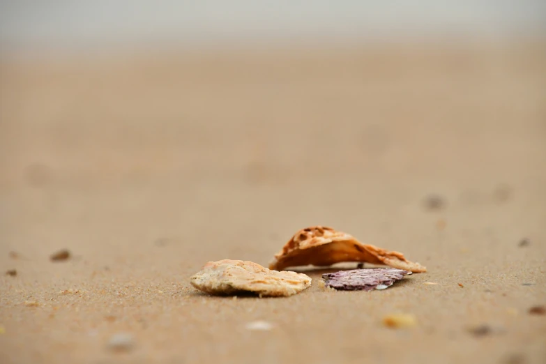 an image of a beach scene with rocks