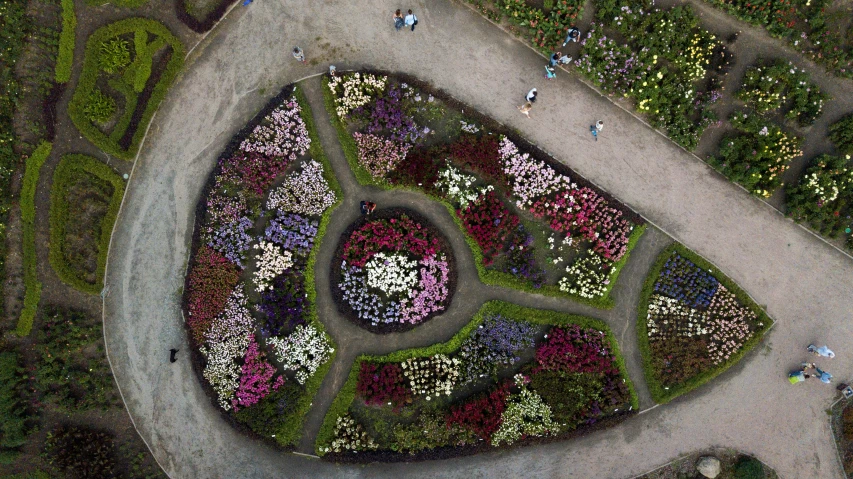 an aerial view of the top of a park