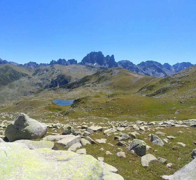 a grassy valley with a small mountain range in the distance