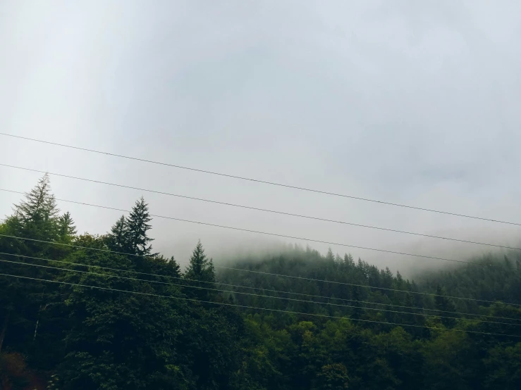 there are two telephone wires hanging above a field