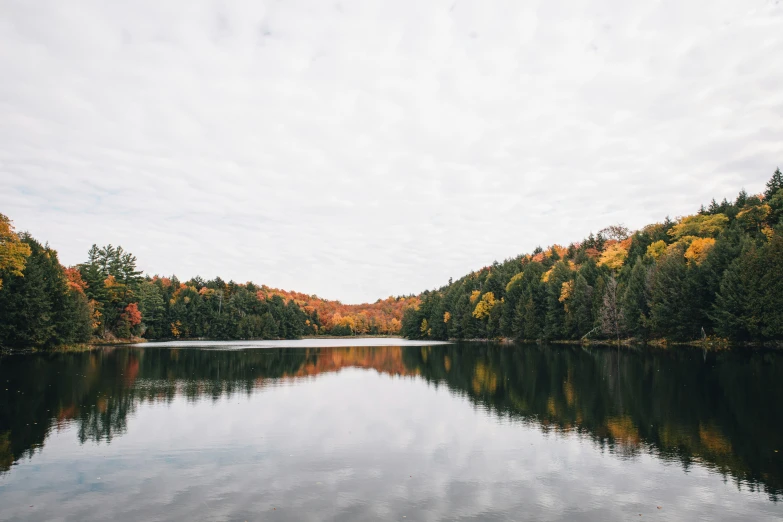 a calm lake with trees surrounding it