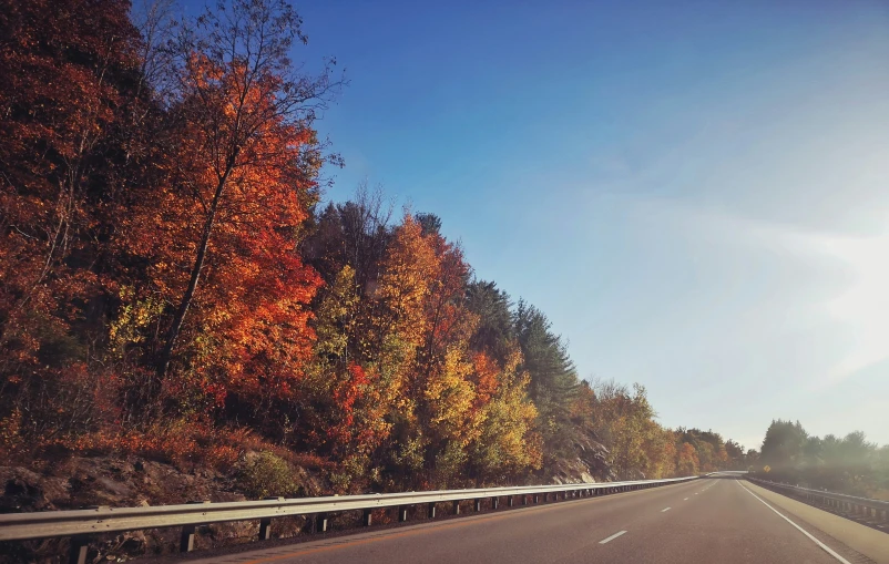 the empty road has a few trees along the side