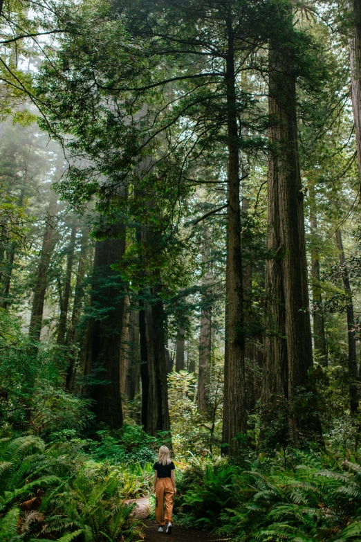 there is a woman walking through the woods