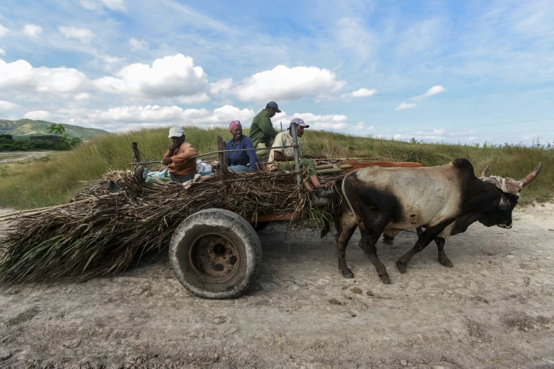 a bunch of people are riding in a wagon that has a bundle of nches on the back