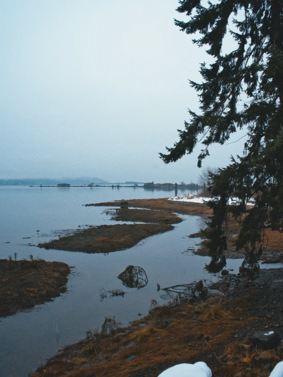 a river flowing between land surrounded by a forest