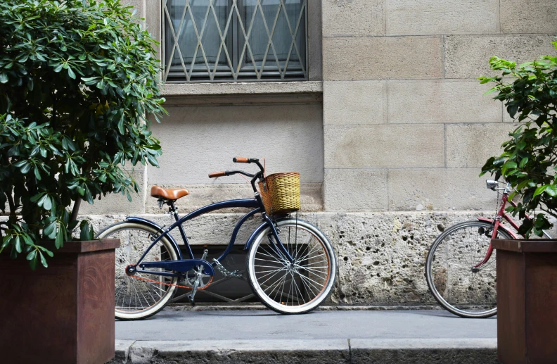 a blue bike sits outside a house by some plants