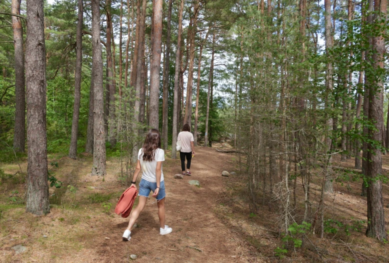 three people walking in the forest with their suitcases